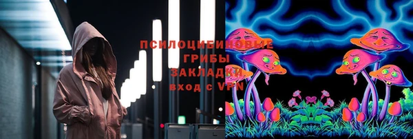 индика Арсеньев