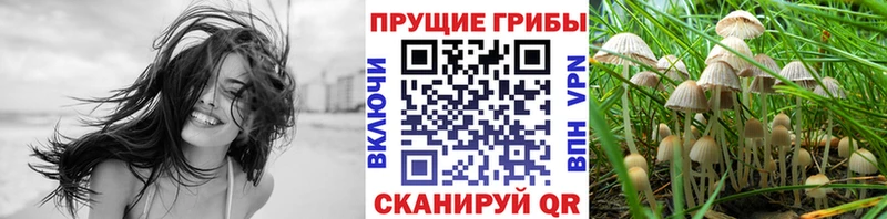 купить закладку  Астрахань  Псилоцибиновые грибы прущие грибы 